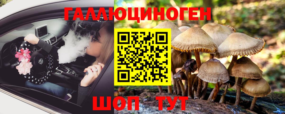 Галлюциногенные грибы Psilocybe Фролово