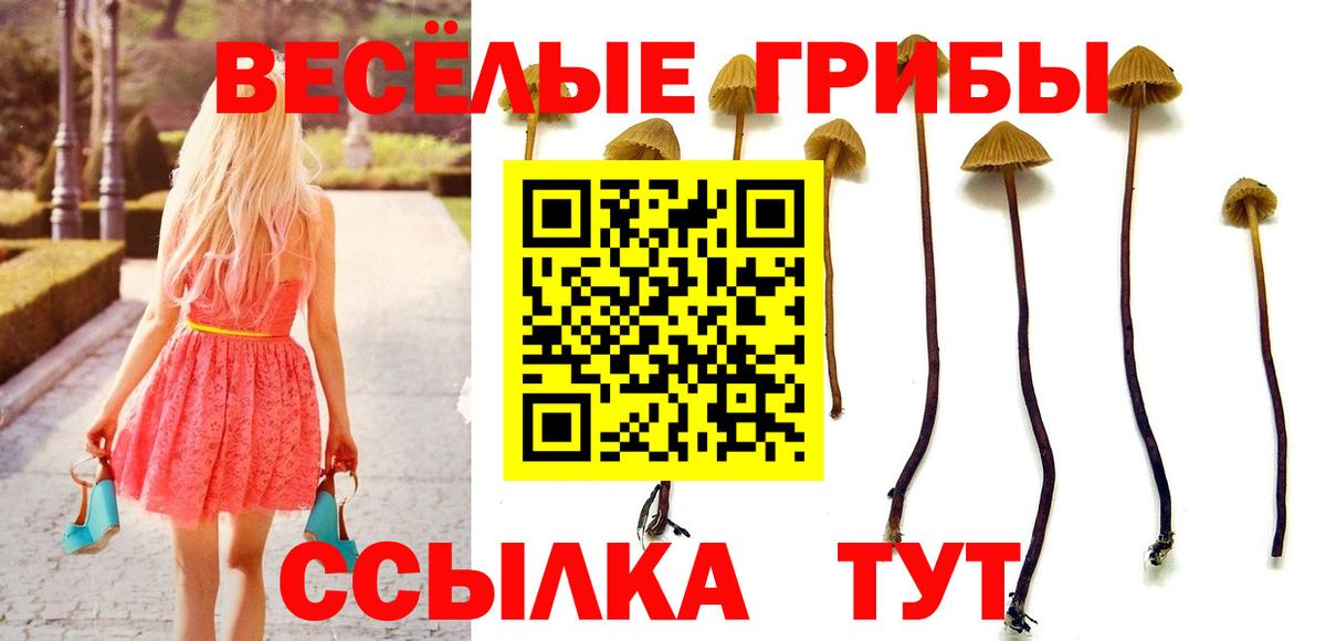 Фролово  Галлюциногенные грибы прущие грибы  Вход с VPN 